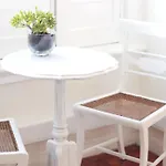 Magnolia Lisboa