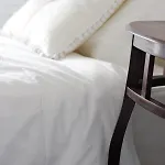 Bed & Breakfast Magnolia *