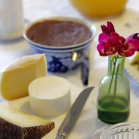 Magnolia Bed and Breakfast Lisboa