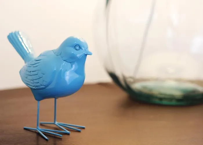 Magnolia Bed & Breakfast Lisbona