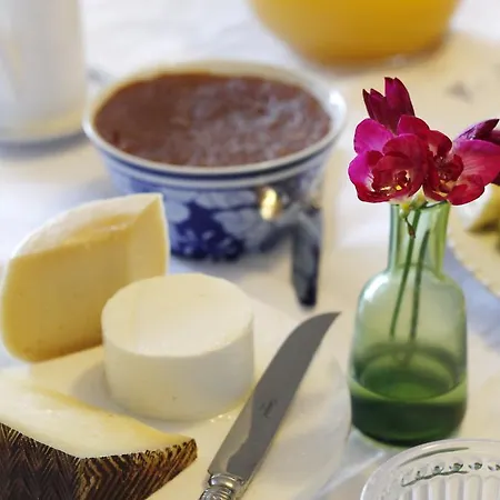 Bed & Breakfast Magnolia *